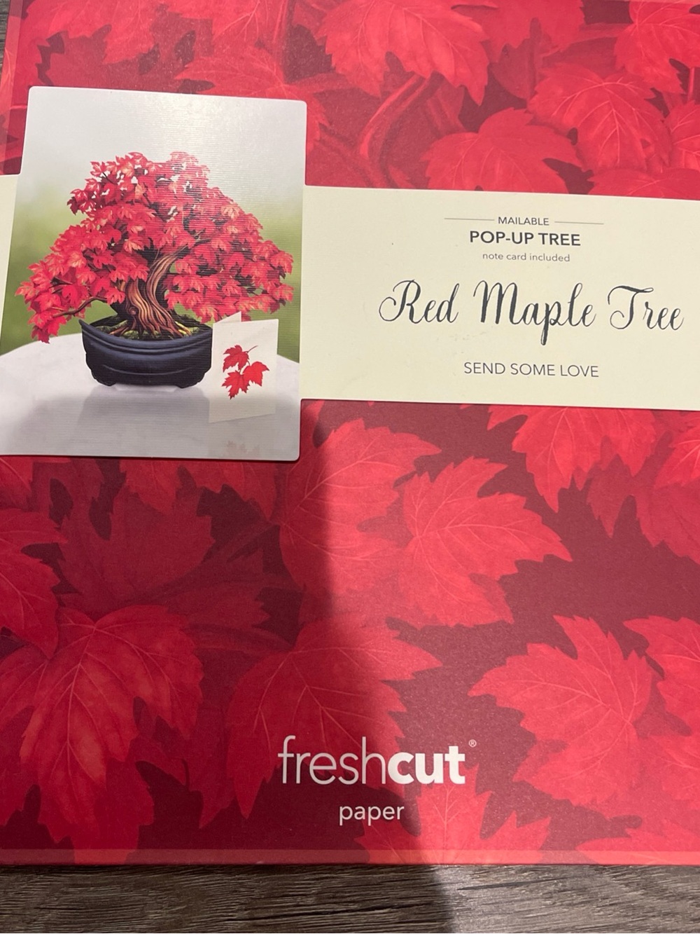 fresh Red Maple Tree Pop-Up Card